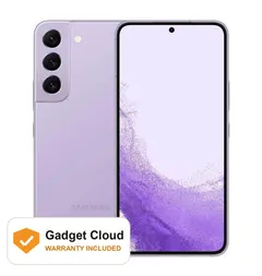 Bora Purple