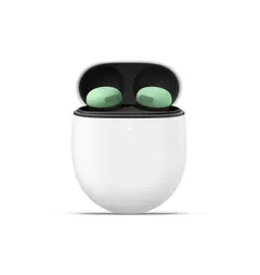 Wintergreen