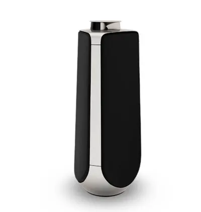Bang & Olufsen Beolab 50 Advanced Active Loudspeakers