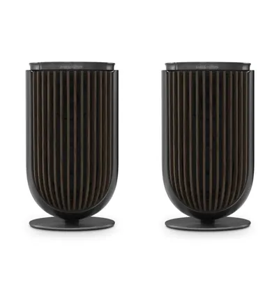 Bang & Olufsen Beolab 8 Compact Wifi Speaker