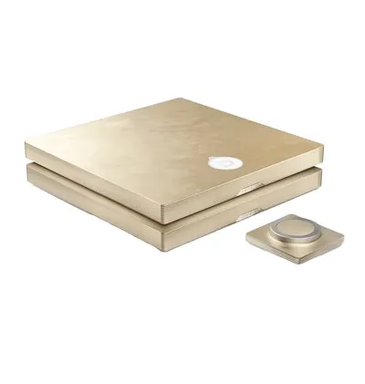 Devialet Astra Dual Amplifier